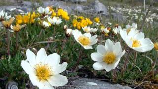 Images-Of-The-Fertile-Rock.flv