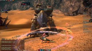 TERA - Elin Lancer Gameplay - Vicious Orisk Solo [HD][3D]