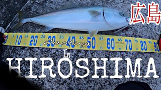 KING MACKEREL AND KINGFISH HUNTING 1.0 [JAPAN SHORE JIGGING] FISHING IN HIROSHIMA 広島釣りショアジギング