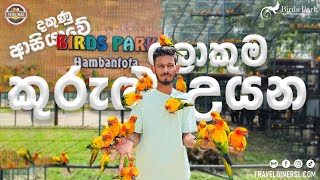 Birds Park Hambantota  ‍| ලක්ෂ ගණන් වටින කුරුල්ලෝ එක්ක