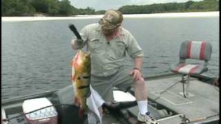 HUGE BASS SNAPS BUCKS FISHING ROD