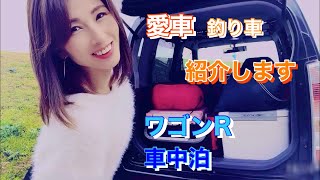 愛車  釣り車紹介と私の車中泊の仕方を紹介します