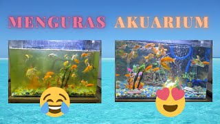 [Kegiatan] Menguras Akuarium