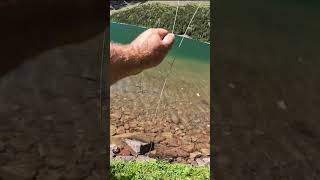 SIGHT FISHING High Alpine Cutthroat