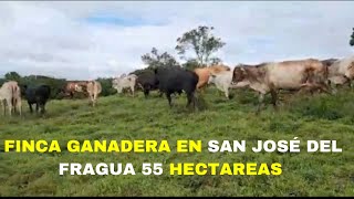 IMPRESIONANTE  FINCA GANADERA EN SAN JOSÉ DEL FRAGUA CAQUETÁ