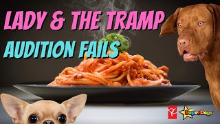 Lady and the Tramp Audition Fails