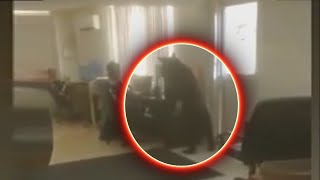 Oso Ingresa en Una Oficina y Paraliza al Personal 🔴 Bear Enters an Office and Paralyzes Staff