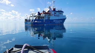 AIMS Great Barrier Reef long term monitoring annual report for 2018/19