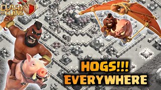 Th14 Queen Charge Hogs Attack Strategy | Most Insane Attack Strategy For Th14 After Update | Coc.