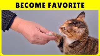 How Cats Choose Their Favorite Person (And How to Win Their Hearts)