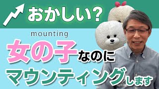 【犬のしつけ】メスでもマウンティングするの？【悩み相談ライブ切り抜き】