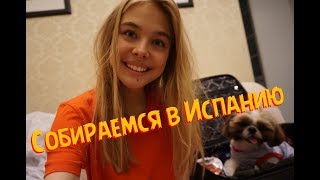 VLOG: Перед отъездом в Испанию. ВЕТЕРИНАРНЫЙ ВРАЧ