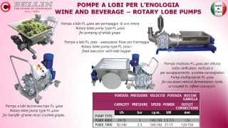 Bellin Pompe - Pompa a lobi per Enologia - Rotary lobe pump