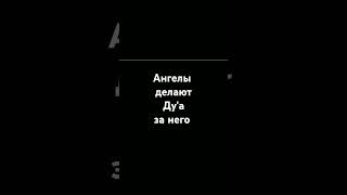 Ангелы делают Ду'а за него.Умар Аль-Ид.#религия #islam #напоминание