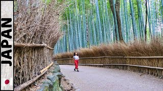 Exploring Kyoto & The Bamboo Forest