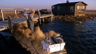 Duck Hunting in the south shore estuary