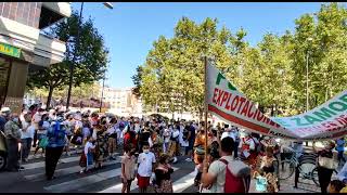 Protesta contra la macrogranja porcina en Carbajales de Alba