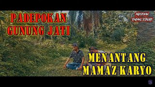 PADEPOKAN GUNUNG JATI MENANTANG MAMAZ KARYO