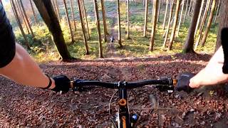 WestWoods: MTB Autumn Session