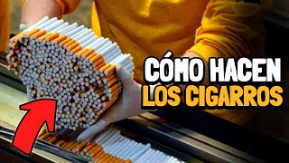 ¿CÓMO se HACEN los CIGARRILLOS? 🚬 | ¿De dónde viene el TABACO?