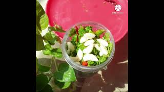 Instant Dhaniya Chutney at home || Coriander Chutney || 5 Snacks recipe || homemade snacks #Shorts