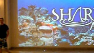 Mandalay Bay Hotel Shark Reef Aquarium Magic Projector