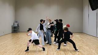 Seventeen Darling dance tutorial mirror