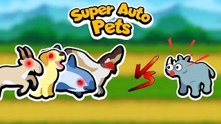 Not Even A Rhino Can Defeat This Team! (Super Auto Pets)