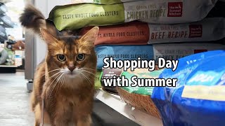 Unleash the Cuteness: Watch This Cat Explore a Pet Shop! 🐈🛍️ #cutecat #catvideos