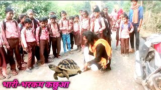 रोड पर दिखा जब😱अजीब कछुआ रेगते हुए फिर क्या हुआ!!#animalsrescuevideo#snakerescueteam