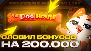 СЛОВИЛ БОНУСОВ НА 200.000 В DOG HOUSE | ДОГ ХАУС