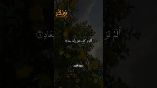 سورة الفجر الآيات من 1 إلى 9 بصوت القارئ سعد الغامدي #حالات  #quran #قرآن  #shorts