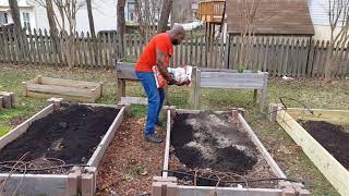 Planting Fruit Trees and Perennials "Part" (2) 🌲🌳