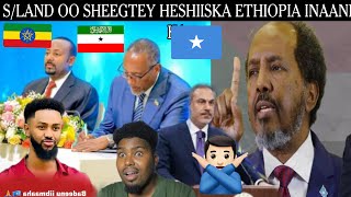 DAYAX DALNUURSHE OO CIDHIIDHI DAREEMEY IYO ETHIOPIA OO DIIDEY HESHIISKA S/LAND INEY KA LAABATO KADIB