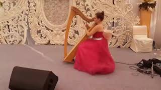 Russian #Harp #Player For Weddings