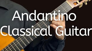 Andantino op 241 no 19 | Classical Guitar | Acoustic Guitar | Fingerstyle Guitar