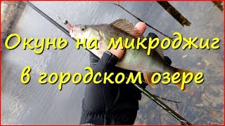 Ловля окуня на микроджиг в городском озере