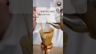 Coffee can be prepared in a variety of ways #shorts #coffee #coffeebeans #facts