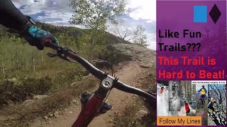 Trail View 2- Upper Spring Roll- Downhill Only MTB Trail