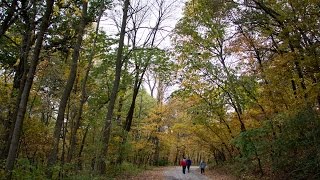 Fact or Fiction: Is Hummel Park Haunted?