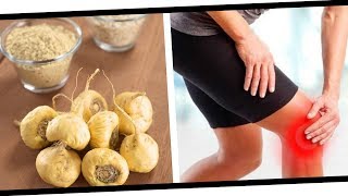 7 Incredible Health Benefits Of Maca Root