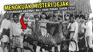 Jejak Kepunahan Harimau Bali, Sang Raja Rimba Yang Telah Punah