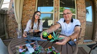 Time-Lapse of the making of Lego Succulents! October 2022