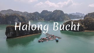 Die Insel Cat Ba und die Halong Bucht 🇻🇳