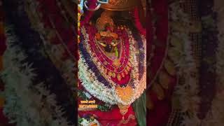 DEVOTIONAL VINDHYACHAL DHAM Jagat Janani KI AARTI