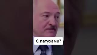 Слишком тонкий юмор #мемы#меме#мемы #смешные приколы #подборка приколов#shorts