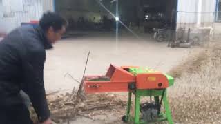 Grass chopper machine chaff cutter with auto feed whatsapp:0086 18737129167