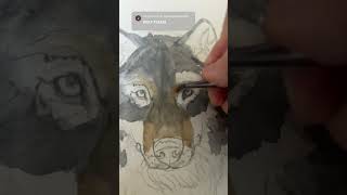 Painting a wolf #watercolorpainting #wolf #art #drawing #animals #shorts #wildlife #dog