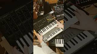 korg ms20 electric guitar sound without effect..