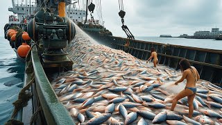 Massive Fish Harvest - See How European Fishermen Fill Nets with Hundreds of Tons At Sea